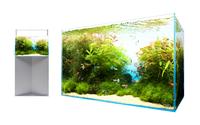 Gambar Bakteri Starter AQUAPHOENIX 100ml penjernih aquascape aquarium kolam dari Kenzenfood undefined 2 Tokopedia