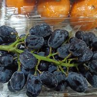Gambar Anggur Black Seedless CORE per Pack 500gr dari Berkah Buah Segar 01 undefined 1 Tokopedia