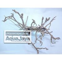 Gambar Kayu Santigi Pasir Kupas Grade A ukuran S M L XL XXL - M dari AquaJaya undefined 3 Tokopedia