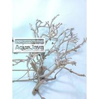 Gambar Kayu Santigi Pasir Kupas Grade A ukuran S M L XL XXL - M dari AquaJaya undefined 5 Tokopedia