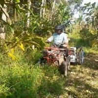 Gambar Mesin Pemotong Rumput Semak Belukar Anak Kayu dari Tani Muda Nursery undefined 4 Tokopedia