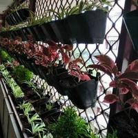 Gambar Pot Bunga Gantung Tempel Dinding Tanaman Vertical Garden | Pot Tempel - Hitam dari tokomaiza undefined 4 Tokopedia