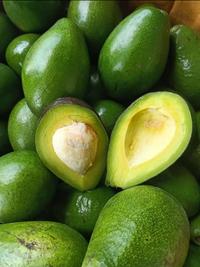 Gambar ALPUKAT MENTEGA LOKAL 1KG AVOCADO BESAR dari Trustedshop7 undefined 4 Tokopedia