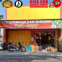 Gambar VOER TOPSONG TOP SONG KECIL MINI PLUS TELUR MADU PAKAN MAKANAN BURUNG dari kicauburung09 undefined 2 Tokopedia