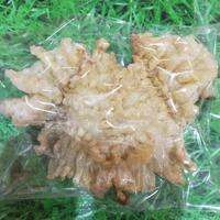 Gambar gelembung ikan, perut ikan, lambung ikan, hipiao,hupio, 50gram dari MJ laut undefined 2 Tokopedia