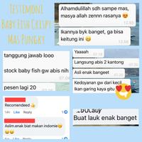 Gambar Baby Fish Crispy Mas Pungky 100 gr dari Little Java undefined 4 Tokopedia