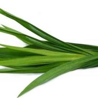 Gambar Daun Pandan dari toko sayur dua dara undefined 1 Tokopedia