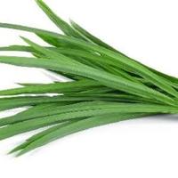 Gambar Daun Pandan dari toko sayur dua dara undefined 2 Tokopedia