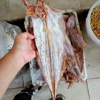 Gambar 500g-Sotong Cumi Kering Kalimantan-Juhi Mentah-Jiu ng-Jiu He Pontianak - Kecil, 500 gram dari Kalbar shop Aneka Snack undefined 3 Tokopedia
