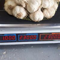 Gambar Bawang Putih Kating 1kg dari TokoNikoPulo undefined 2 Tokopedia