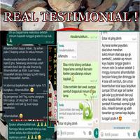 Gambar akar Bajakah tunggal grade A kualitas super asli Kalimantan netto 500g dari BAJAKAH ORIGINAL undefined 4 Tokopedia