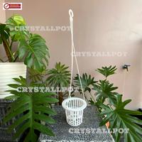 Gambar pot bunga anggrek 14cm +gantungan Plastik Putih dari CRYSTALLPOT undefined 4 Tokopedia