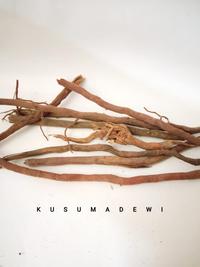 Gambar Akar Aren / Enau 1 kg dari Kusuma Dewi Jogja undefined 1 Tokopedia