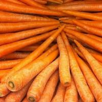 Gambar WORTEL LOKAL ( pack 500g ) dari Ramora Fresh Market undefined 2 Tokopedia