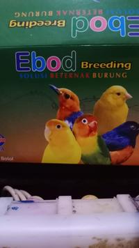 Gambar EBOD BREEDING VITAMIN BURUNG MERANGSANG BIRAHI TUK TERNAK SEMUA BURUNG dari Ryan Bird Shop Surabaya undefined 2 Tokopedia