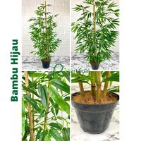 Gambar Pohon Hias Daun Bambu Hijau Kuning Latex Artificial Pot Hitam Plastik - Kuning dari Rickartificial undefined 3 Tokopedia