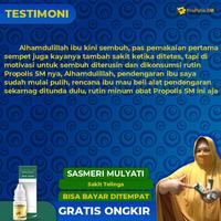 Gambar Propolis SM - Obat Tetes Telinga Tersumbat Kotoran Keras Ear Berair Budeg Gatal dari Fuji Herbal Shop undefined 3 Tokopedia