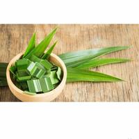 Gambar Daun Pandan Wangi - 1 ikat dari Pasar Online Kebayoran undefined 1 Tokopedia