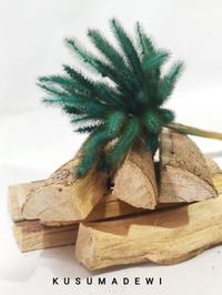 Gambar Kayu pasa bumi 250 gram dari Kusuma Dewi Jogja undefined 1 Tokopedia