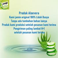 Gambar Aloe Vera Cair / Cairan Lidah Buaya 60 ml dari Snapclean Store Depok undefined 3 Tokopedia