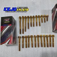 Gambar BAUT MESIN PROBOLT UNTUK MESIN TIGER MEGAPRO PSI - blue dari lapak sandal jepit motor undefined 2 Tokopedia