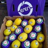 Gambar lemon Afrika segar dan fresh/1dus/15kg dari fresh buah segar jkt undefined 2 Tokopedia