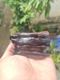 Gambar Gelang Akar Bahar Merah JUMBO Natural dari Darmawan Aksesoris undefined 4 Tokopedia