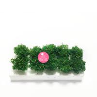 Gambar MAKET Pohon Rindang Tinggi 2CM - Miniatur Pinus Diorama Taman Diecast - Hijau dari craftory.id undefined 2 Tokopedia