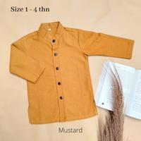 Gambar Baju Muslim Anak/Baju Koko Anak Rafa Kids/Kemeja Koko Anak Terbaru - Hijau, No. 1 dari MW Grosir Pakaian undefined 3 Tokopedia