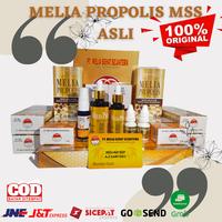 Gambar Melia Propolis Asli 30ml Satuan dari Melia Propolis MSS Asli undefined 2 Tokopedia