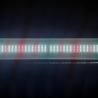 Gambar lampu led grow light succulent dan tanaman vegetatif daun batang 50W dari Bentengled undefined 1 Tokopedia