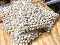 Gambar MAKANA 100gram dari INDO GROCERY MART undefined 1 Tokopedia
