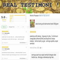 Gambar Teh akar kuning asli Kalimantan 1pcs kantong teh tanpa tali pegangan dari BAJAKAH ORIGINAL undefined 3 Tokopedia