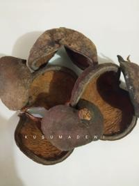Gambar Jangkang Kepuh / Kelumpang 1 kg dari Kusuma Dewi Jogja undefined 1 Tokopedia
