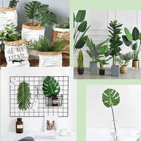 Gambar Daun Tropical Monstera Palem Pakis Pinus - Tanaman Daun Hias Plastik - Palem dari Cotton Light Craft undefined 4 Tokopedia