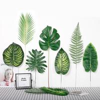 Gambar Daun Tropical Monstera Palem Pakis Pinus - Tanaman Daun Hias Plastik - Palem dari Cotton Light Craft undefined 1 Tokopedia
