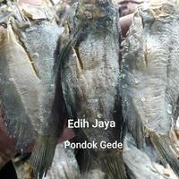 Gambar Ikan Asin Sepat Siam Asli Kalimantan Netto 250 Gram dari Edih Jaya undefined 1 Tokopedia