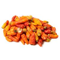Gambar Cabe Rawit Merah Petik / Cabai Rawit Merah Petik Segar 1 KG dari SayurWoori undefined 1 Tokopedia