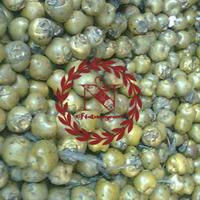 Gambar kolang kaling rebus + cangkang fresh langsung dari petani Makanan dari Naturegreen undefined 1 Tokopedia