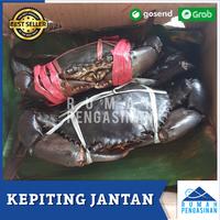 Gambar Kepitin Jantan Besar Hidup (1kg Isi 2 Ekor) / MUD CRAB LIVE / kepiting dari rumah pengasinan undefined 3 Tokopedia
