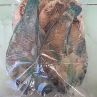 Gambar Ikan Kakatua Kering / Ikan Asin / Ikan Garam - Asli Palu dari Toko Oleh-oleh Palu undefined 1 Tokopedia