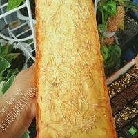 Gambar Cake Tape Keju 2 buah dari medan kitchen undefined 2 Tokopedia