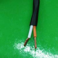 Gambar Canare 2S9F / 2S9 Kabel Speaker 1 pair 14 AWG Original Japan ecer/ mtr dari Cahaya baru Jakarta undefined 2 Tokopedia
