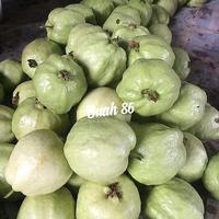 Gambar jambu kristal putih tanpa biji dari Buah 86 undefined 1 Tokopedia