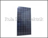 Gambar PANEL SURYA POLICRYSTALINE KENIKA 340WP NPS340 38V dari Rola Solar Elektrik undefined 2 Tokopedia