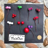 Gambar Cherry Artifisial Frosted Cherry Buah Cherry Chery Plastik (3 biji) - FrostedMrh 3bij dari MeinCho undefined 1 Tokopedia