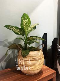 Gambar Keranjang serbaguna rotan/laundry bag/pot bunga rotan alami Aesthetic dari Sintesa furniture undefined 5 Tokopedia