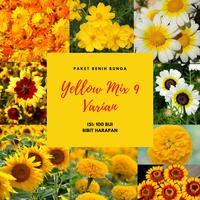 Gambar Benih Bibit Biji Bunga Yellow Mix 9 Varian Bibit Unggul dari Bibit Harapan undefined 1 Tokopedia
