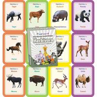 Gambar FLASH CARD ANAK HURUF DAN ANGKA HIJAIYAH BUAH SAYUR KARNIVORA part 2 dari ashari1store undefined 3 Tokopedia