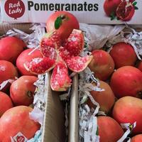 Gambar BUAH DELIMA MERAH IMPORT 1 BUAH dari Fresh Fruit Shop1 undefined 2 Tokopedia